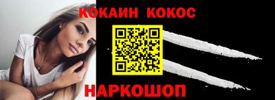 крисы Новодвинск