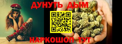 крисы Новодвинск