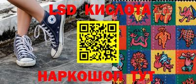 крисы Новодвинск