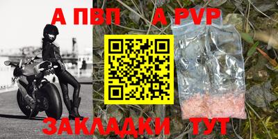 крисы Новодвинск