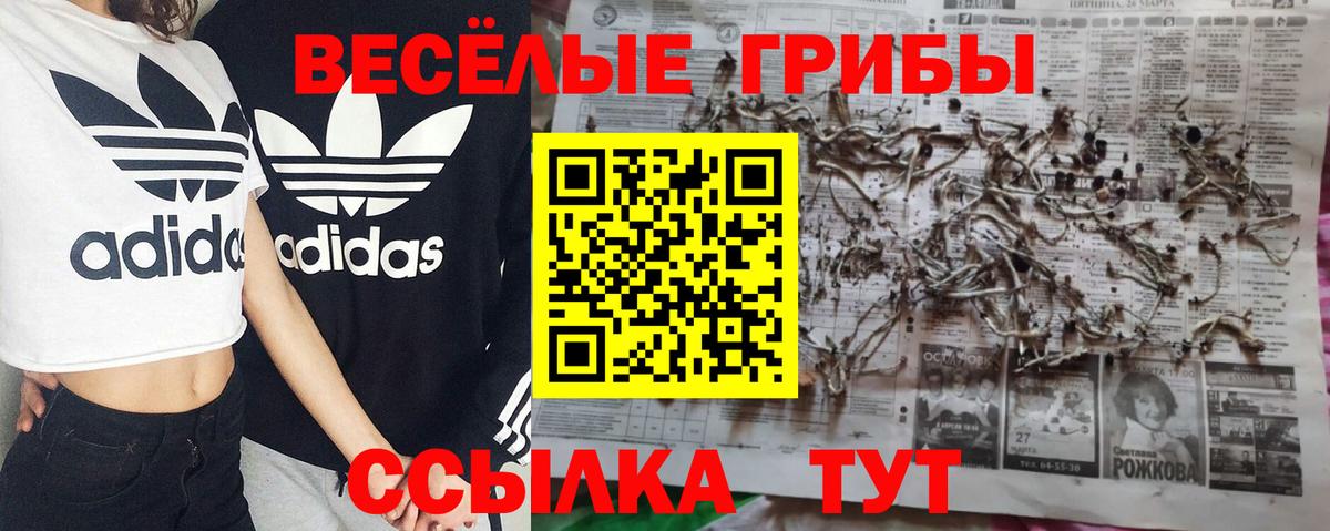 закладка  Вход с VPN  Псилоцибиновые грибы мицелий  Славгород  Псилоцибиновые грибы ЛСД 
